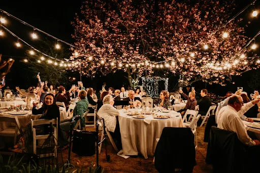 Wedding and Receptions